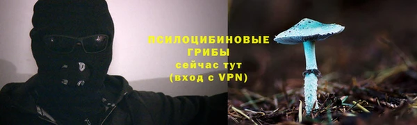 мескалин Абаза
