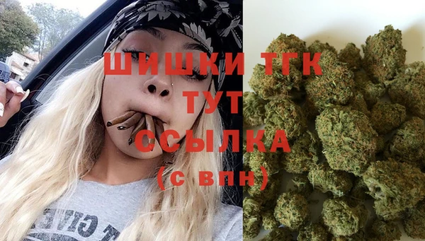 молекула духа Абинск